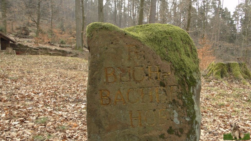 Ritterstein Nr. 011-1 R. Buchbacherhof.JPG - Ritterstein Nr.11 R. Buchbacherhof